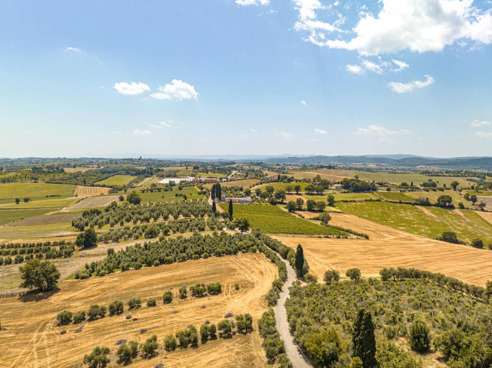 Il Querciolo - Azienda Biologica, Agriturismo E Cantina Marciano della Chiana Exterior photo